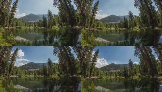 森林湖泊延时摄影高清在线视频素材下载
