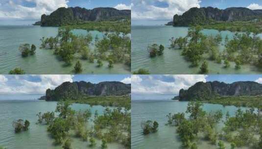 泰国甲米红树林自然风光航拍高清在线视频素材下载