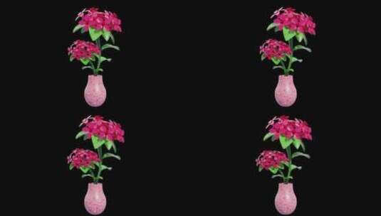 布瓦迪亚绽放：花卉威严3D动画中的优雅交高清在线视频素材下载