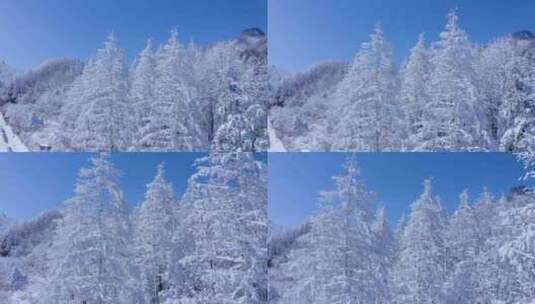 秦岭分水岭  冰雪世界高清在线视频素材下载