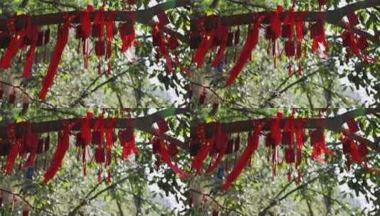 树上挂满的祈福红丝带高清在线视频素材下载