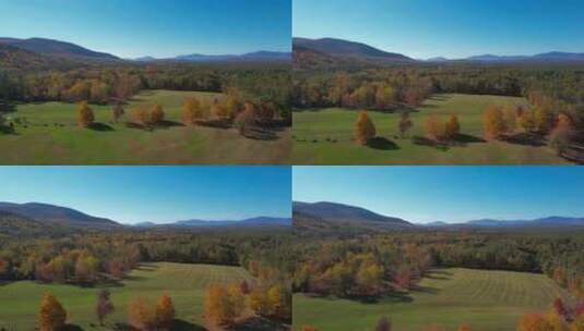 秋天自然风光原始森林景色高清在线视频素材下载
