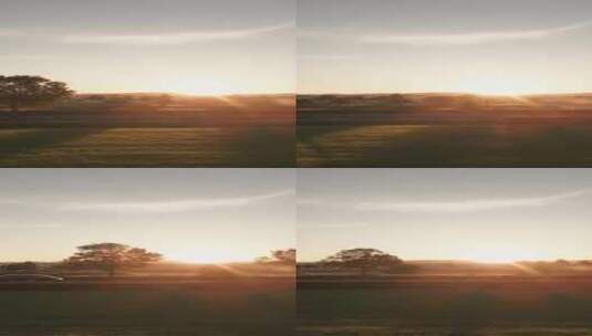 航拍特写日落余晖下的森林草原夕阳高清在线视频素材下载