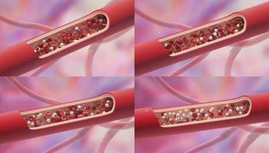 红细胞在动脉内流动，健康的血液流动高清在线视频素材下载