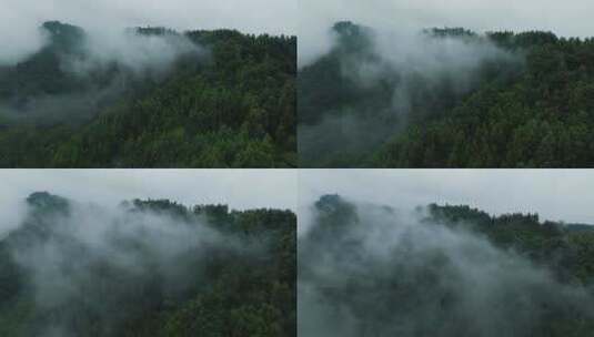 青山薄雾秋天自然航拍风景美丽大山雾气飘渺高清在线视频素材下载