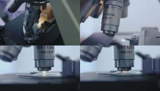 显微计数目尺显微镜操作03切换油镜头高清在线视频素材下载