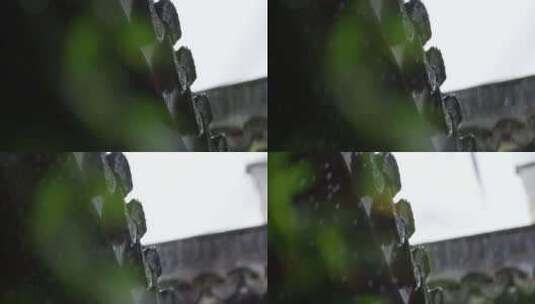 瓦当 细雨 绿叶 7高清在线视频素材下载