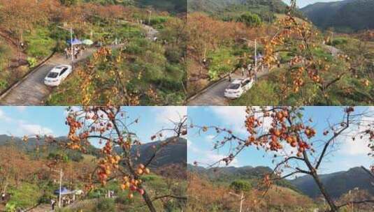 中国广东省广州市从化区吕田镇圭峰村高清在线视频素材下载