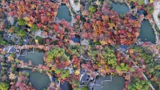 苏州天平山秋季红枫航拍高清在线视频素材下载