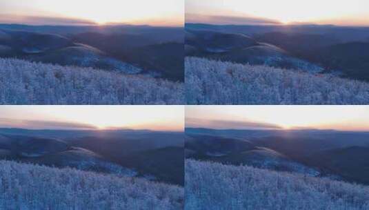 夕阳下林海雪原唯美雾凇高清在线视频素材下载