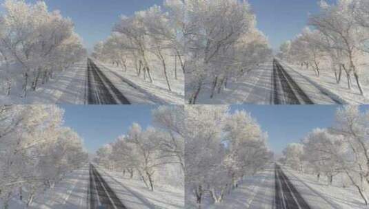 冬季白雪覆盖的树木公路高清在线视频素材下载