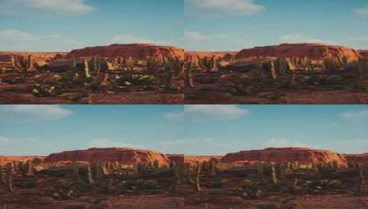仙人掌树和岩石的沙漠场景高清在线视频素材下载