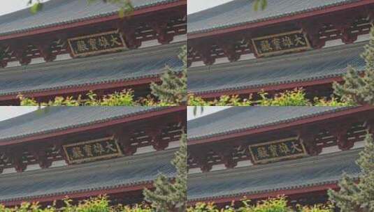 大雄宝殿寺庙上海嘉定南翔云翔寺中式建筑高清在线视频素材下载
