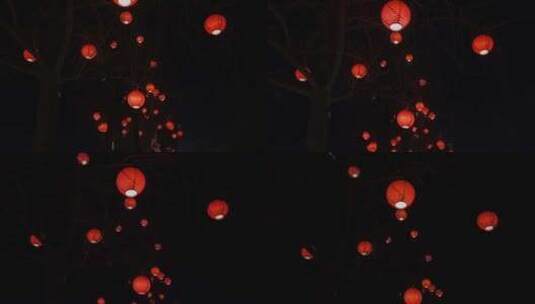 红灯笼树枝过年气氛1高清在线视频素材下载