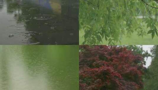 【合集】唯美春雨绵绵节气高清在线视频素材下载