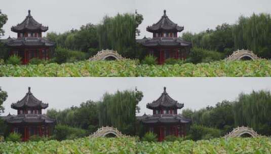 中式园林古莲花池雨景高清在线视频素材下载