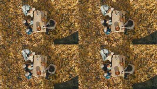 在枫树下做南瓜灯的一家人航拍镜头高清在线视频素材下载