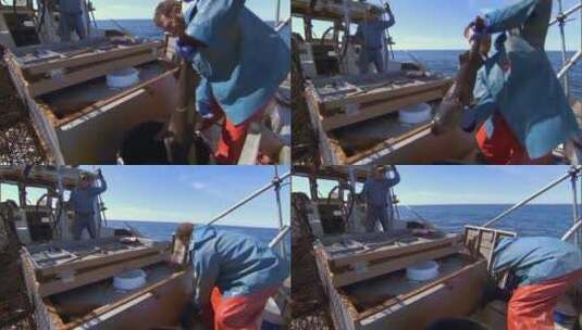渔民展示黑鳕鱼高清在线视频素材下载