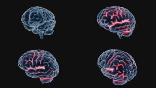 医学 大脑 脑科学 三维 脑ct1 模型高清在线视频素材下载