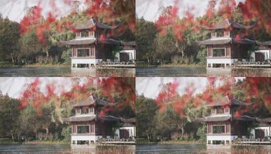 秋天西湖风景区曲院风荷景点内古典建筑高清在线视频素材下载
