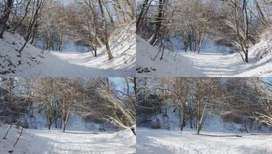 积雪覆盖的林间小路高清在线视频素材下载