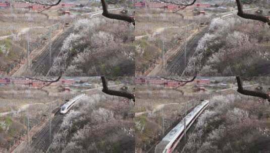 列车花海常规视频高清在线视频素材下载