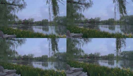 滤镜下的北京圆明园湖面风光高清在线视频素材下载