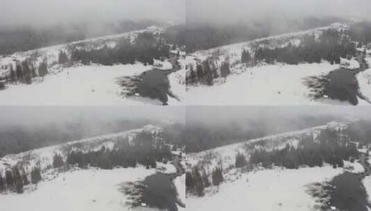 雪原间的松林高清在线视频素材下载