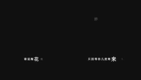 云菲菲-梅花泪歌词dxv编码字幕高清在线视频素材下载