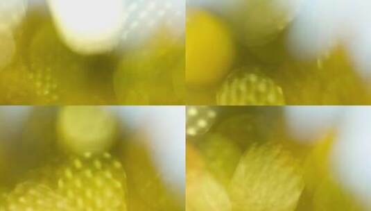 黄色虚幻光斑动态背景 (5)高清在线视频素材下载