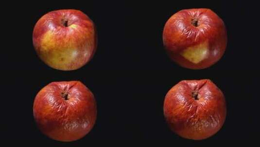 苹果干枯变干。老化过程演示高清在线视频素材下载