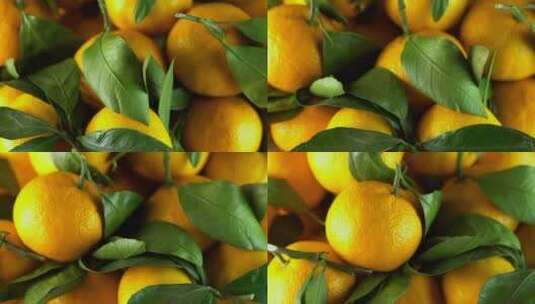 旋转的橙黄色柑橘高清在线视频素材下载