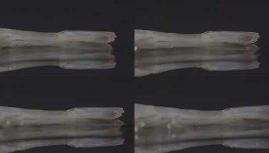鲜活海虾影棚实拍LOG高清在线视频素材下载