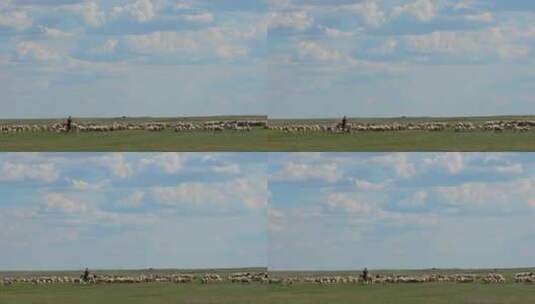 内蒙古草原上的羊群高清在线视频素材下载