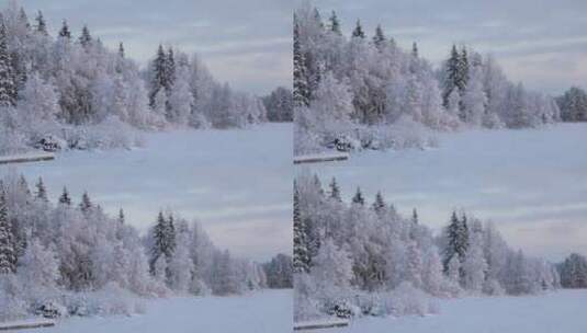 冬季大雪森林傍晚夕阳唯美风景高清在线视频素材下载