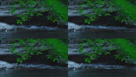 山泉山间溪流升格生态环境唯美高清在线视频素材下载