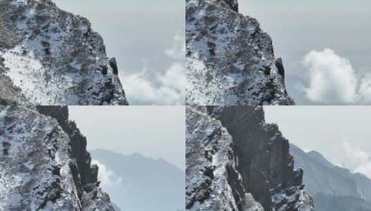 航拍湖北神农架原始森林群山冬季雪景雪松高清在线视频素材下载