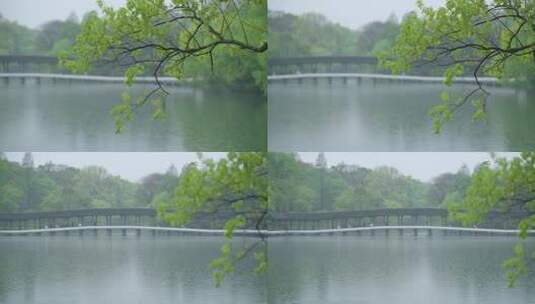春天杭州乌龟潭阴雨天古建筑植物绿色自然高清在线视频素材下载