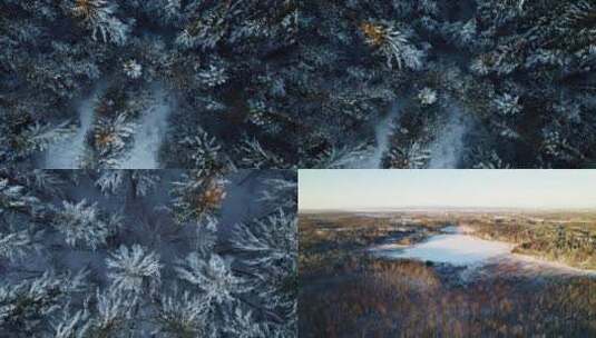 冬季森林傍晚夕阳雪景航拍高清在线视频素材下载