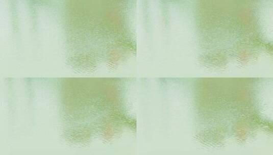 波光粼粼水面波纹嫩绿水面高清在线视频素材下载