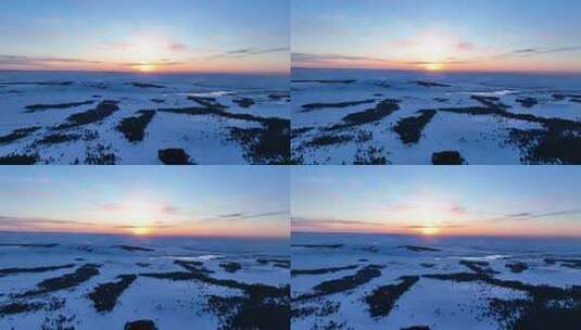 呼伦贝尔生长樟子松的雪原日暮高清在线视频素材下载