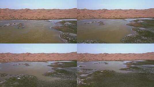 沙漠湖泊湿地沙漠生态高清在线视频素材下载