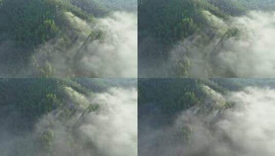 云雾迷漫光绿色山林高清在线视频素材下载