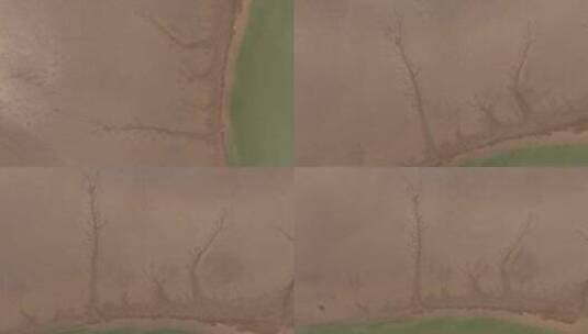 黄河滩涂地理奇观高清在线视频素材下载