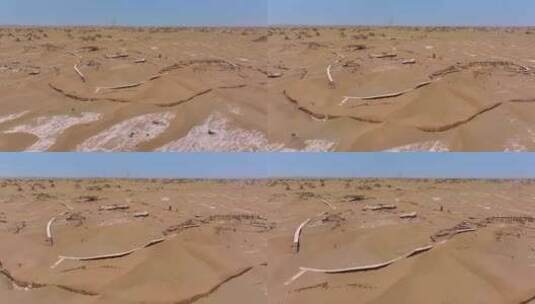 沙漠遗迹 尼雅遗迹高清在线视频素材下载