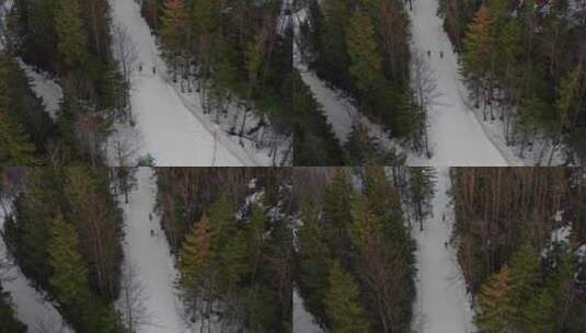 冬天，波兰扎科帕内，古巴洛卡山的雪地滑雪坡穿过松树，滑雪者在滑雪高清在线视频素材下载