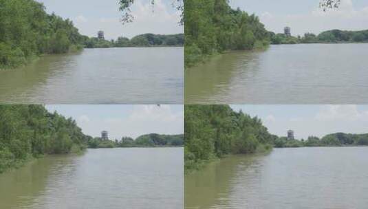 船在湿地沼泽上航行，蓝天白云灌木和白鸟高清在线视频素材下载