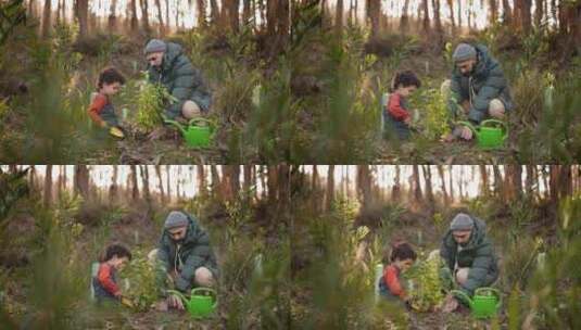 日落时分，父子在森林里种植树苗高清在线视频素材下载