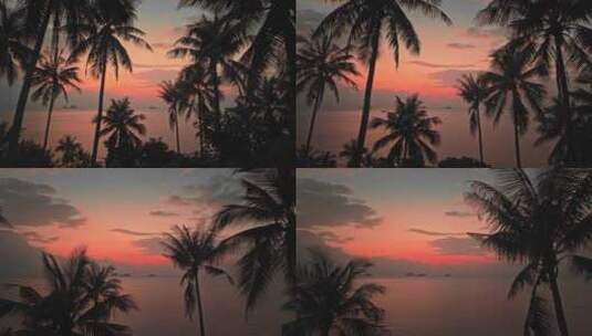 棕榈树红色日落和平静的大海高清在线视频素材下载