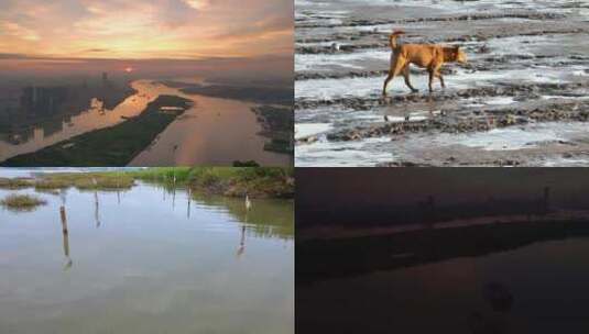 航拍广州珠江江心岛“北帝沙”和“沙仔岛”高清在线视频素材下载